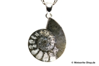 Ammonit-Anhänger (Fossil | Scheibe | 925er Silber) - 11,80 g Ammonit-Anhänger (Fossil | Scheibe | 925er Silber) - 11,80 g