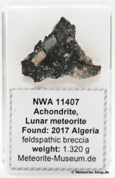 NWA 11407 Mond Meteorit - 1,320 g