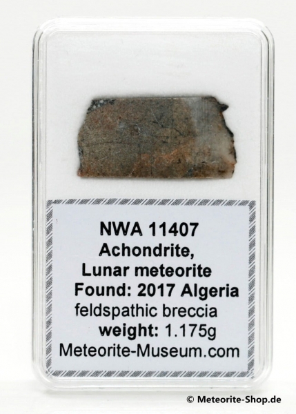 NWA 11407 Mond Meteorit - 1,175 g