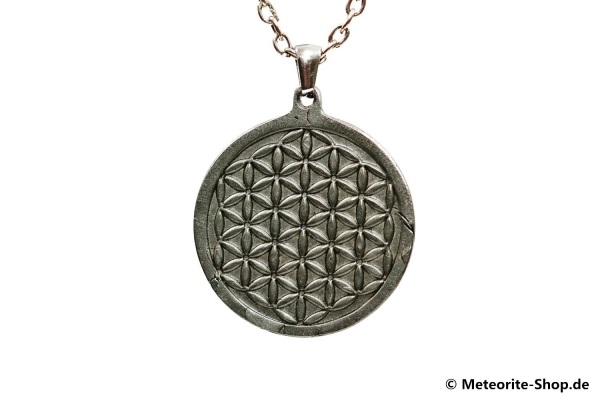 Eisen-Meteorit-Anhänger (Muonionalusta | Scheibe | Blume des Lebens Carved Amulett) - 7,40 g