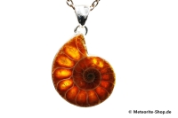 Ammonit-Anhänger (Fossil | Scheibe | 925er Silber) - 6,60 g Ammonit-Anhänger (Fossil | Scheibe | 925er Silber) - 6,60 g