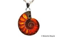 Ammonit-Anhänger (Fossil | Scheibe | 925er Silber) - 5,90 g Ammonit-Anhänger (Fossil | Scheibe | 925er Silber) - 5,90 g