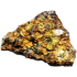 Kategorie Jahrgang 2008 (Jepara Meteorit)