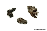 Sikhote-Alin Meteorit - 1,50 g Sikhote-Alin Meteorit - 1,50 g