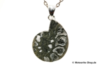Ammonit-Anhänger (Fossil | Scheibe | 925er Silber) - 9,90 g Ammonit-Anhänger (Fossil | Scheibe | 925er Silber) - 9,90 g