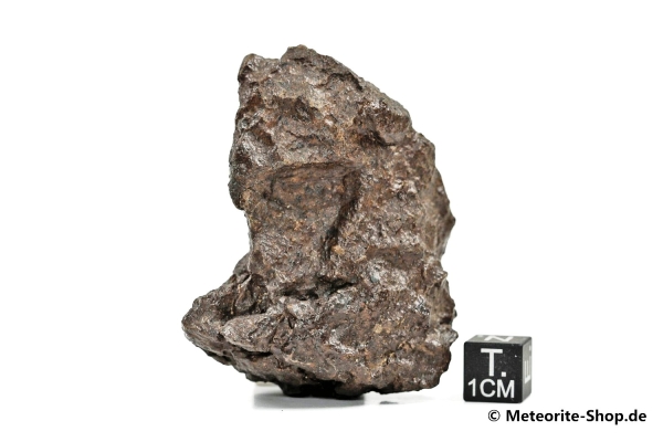 NWA Westsahara Meteorit - 84,70 g