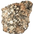Kategorie Jahrgang 2017 (NWA 11407 Meteorit)